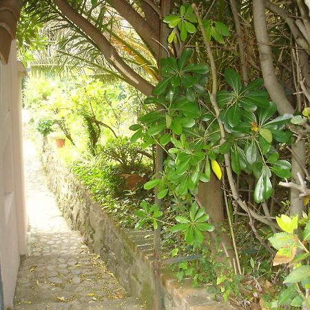 Sunflower Cosy Cottage - Il Girasole Monterosso al Mare Esterno foto